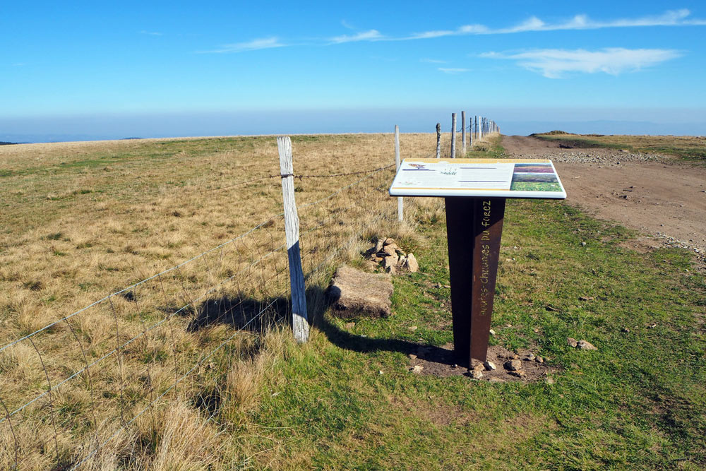 loireforez_lave_emailee_patrimoine_acier_corten